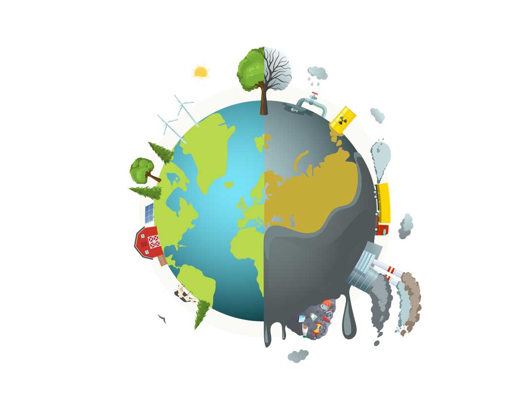 سپیدار، همکاران، راهکاران